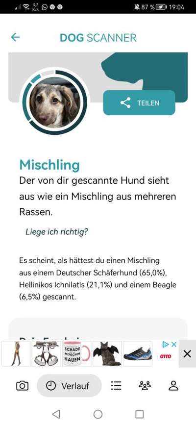 Rasse?-Beitrag-Bild