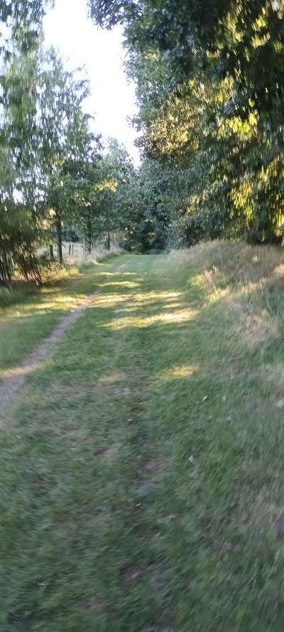 Hundeauslaufgebiet-Tydal-Bild