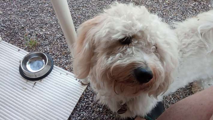 Doppelgänger gesucht !-Beitrag-Bild