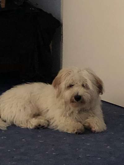 Doppelgänger gesucht !-Beitrag-Bild