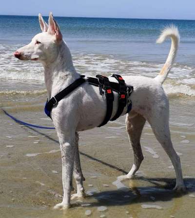 Lieblings Fotos-Beitrag-Bild