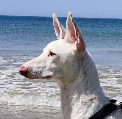 Lieblings Fotos-Beitrag-Bild