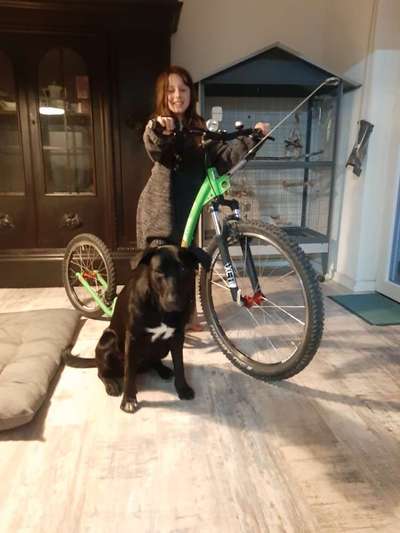 Hobby's mit Hund-Beitrag-Bild