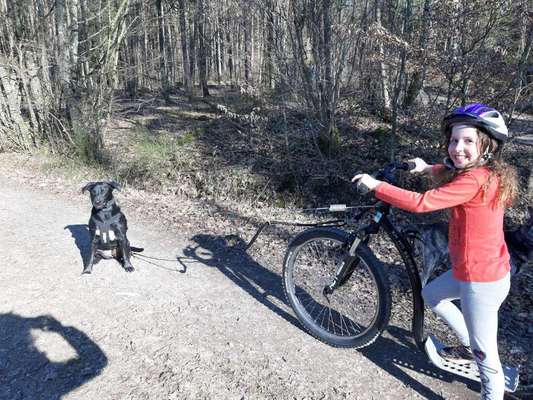 Hobby's mit Hund-Beitrag-Bild