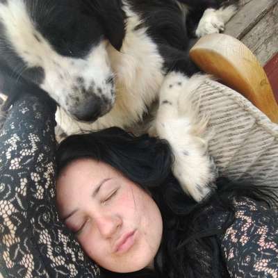 Hundetreffen-Pflegeplatz / Betreuung /Gassi gehen während  Umzug