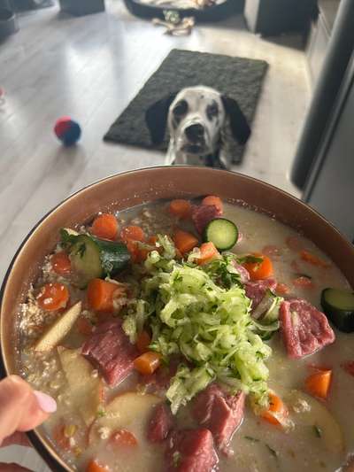 Zeigt her Eure Futternäpfe-Beitrag-Bild