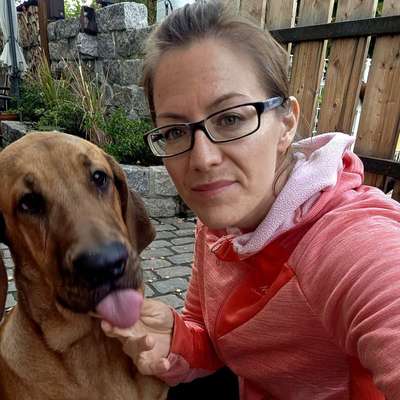 Hundetreffen-Gemütlicher Spaziergang