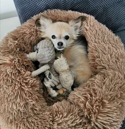 Erfahrung mit Wolkenbett-Beitrag-Bild