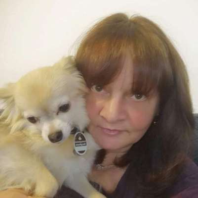 euer ältester Hund ?-Beitrag-Bild