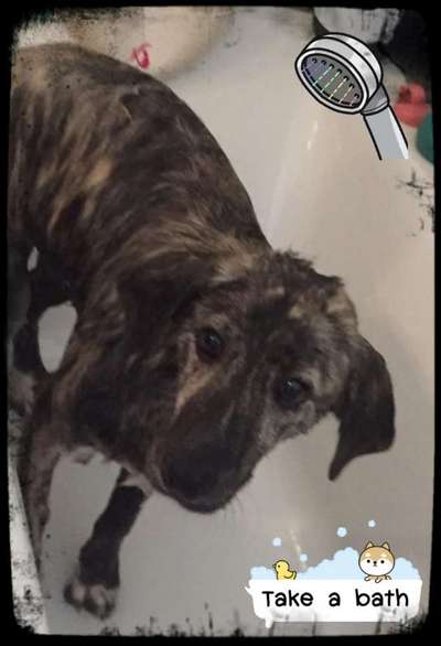 Fotochallenge 27-Beitrag-Bild