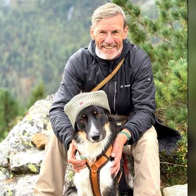 Hundetreffen-Training und weitere Sozialisierung