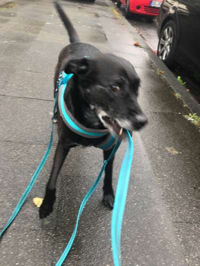 Un...scharf Bilder-Beitrag-Bild