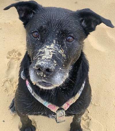 Fotochallange Nr. 57     PORTRÄT.   Beendet!!!!!!!!-Beitrag-Bild