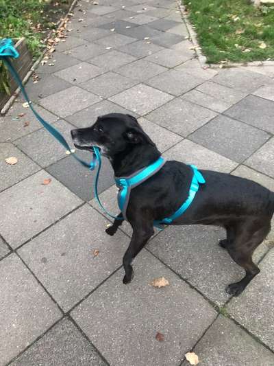 Un...scharf Bilder-Beitrag-Bild