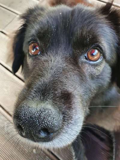 Fotochallange Nr. 57     PORTRÄT.   Beendet!!!!!!!!-Beitrag-Bild