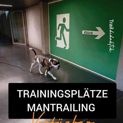 Hundetreffen-Mantrailing-Bild