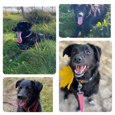 18. Collagen Challenge - Zunge raus!-Beitrag-Bild