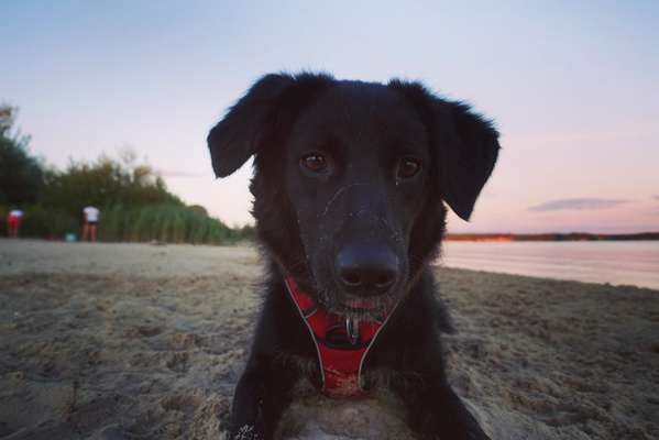 Zeigt eure Portraits-Beitrag-Bild