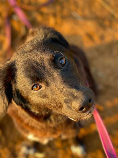 Handy-Foto Challange Nr. 10-Beitrag-Bild