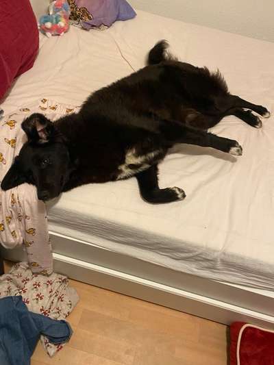 Fotochallange Nummer 5-Beitrag-Bild