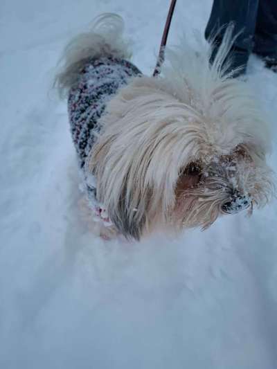 Anpassen bei Minusgraden-Beitrag-Bild