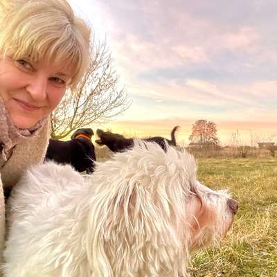 Katrin's Profilbild