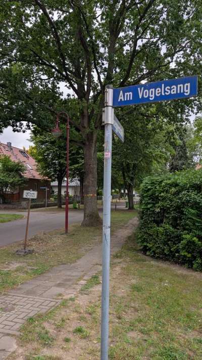Giftköder-Eichenprozessionsspinner-Bild