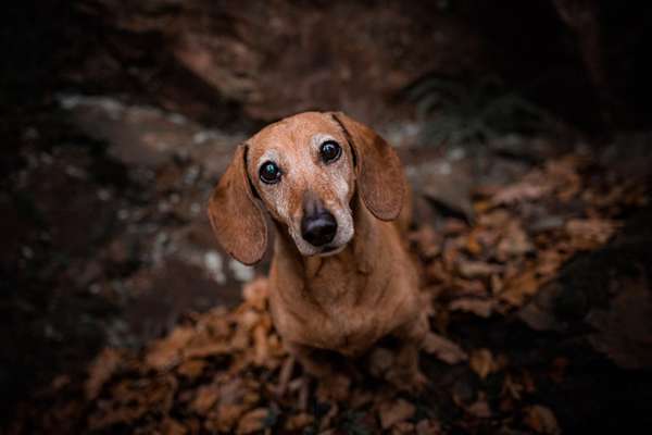 Fotowettbewerb Natur-Beitrag-Bild
