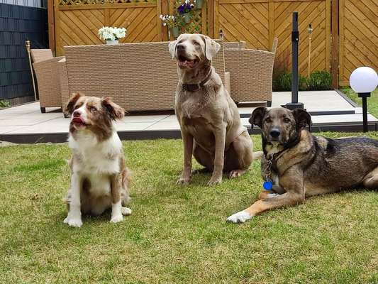 Handy-Foto-Challange Nr. 8-Beitrag-Bild