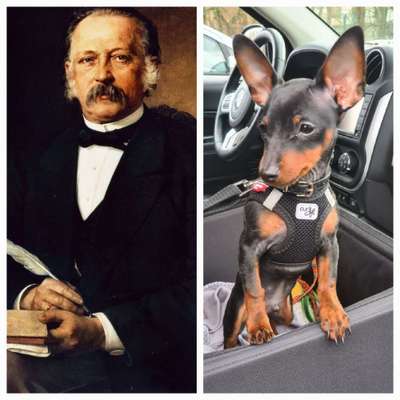 Wie heißt dein Hund?-Beitrag-Bild