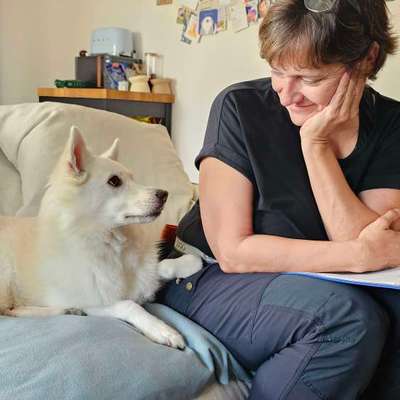 Giftköder-Individuelles Hundetraining – ​Training-Bild