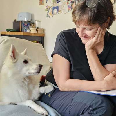 Hundeschule Hundeschule Frankfurt Claudia Mantke in Frankfurt am Main Gutleutviertel – Dogorama