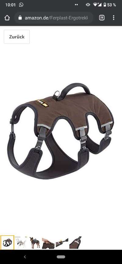 Geschirr Empfehlung-Beitrag-Bild