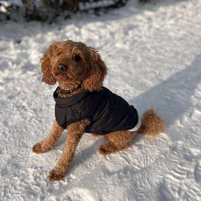 Fliegen in der Kabine mit "Grenzgänger"-Beitrag-Bild