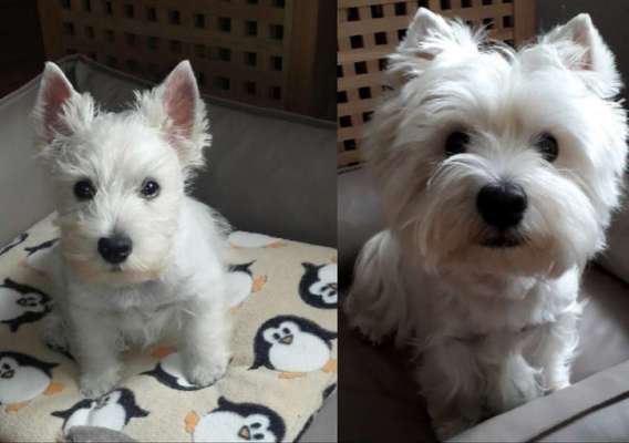 Vorher.... Nachher-Beitrag-Bild