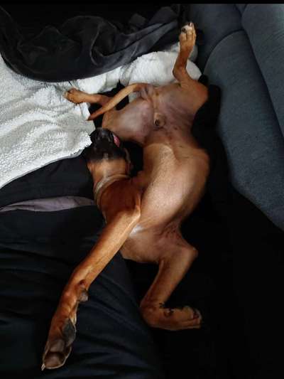 Fotochallenge Nr.65-Beitrag-Bild