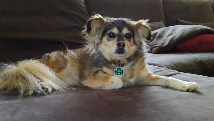 Fotochallange Nr. 57     PORTRÄT.   Beendet!!!!!!!!-Beitrag-Bild