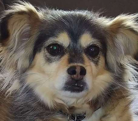 Fotochallange Nr. 57     PORTRÄT.   Beendet!!!!!!!!-Beitrag-Bild