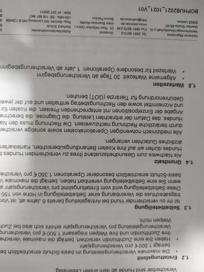 Französische Bulldoggen-Beitrag-Bild