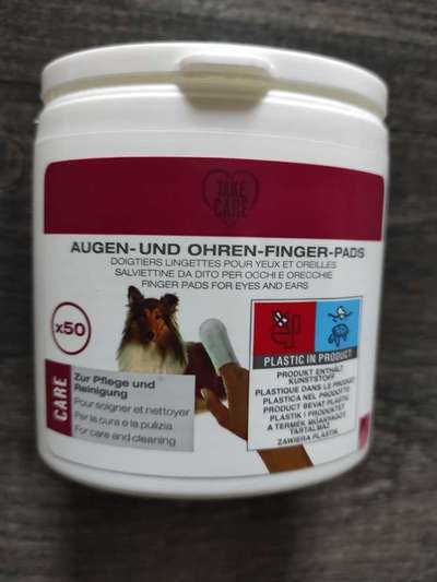 Französische Bulldoggen-Beitrag-Bild