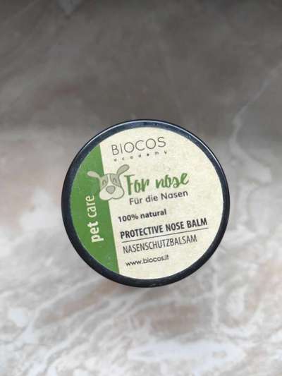 Französische Bulldoggen-Beitrag-Bild