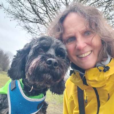 Hundetreffen-Spaziergang Straubing, gerne wochentags-Bild