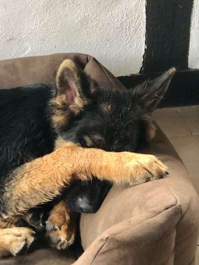 Challenge 21 - wo bin ich : )-Beitrag-Bild