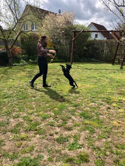 45. Handy - Foto - Challenge-Beitrag-Bild