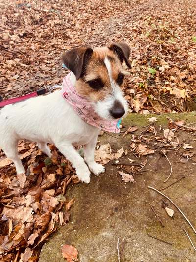 Fotowettbewerb Natur-Beitrag-Bild