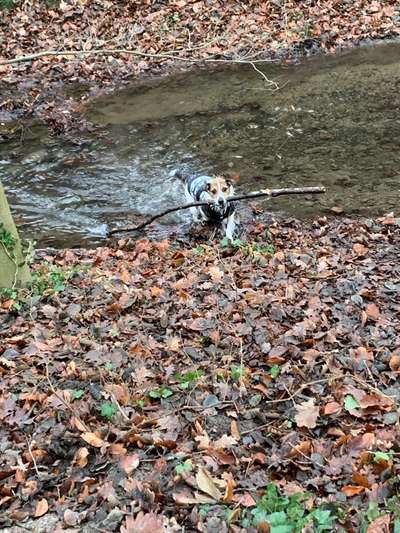 Fotochallenge 27-Beitrag-Bild