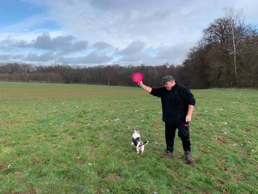 DogFrisbee-Beitrag-Bild