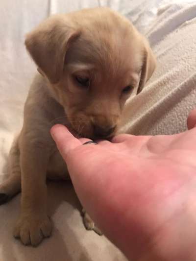 Foto Challenge 82-Beitrag-Bild