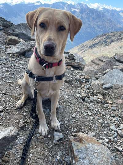 Fotochallenge Nr 107-Beitrag-Bild