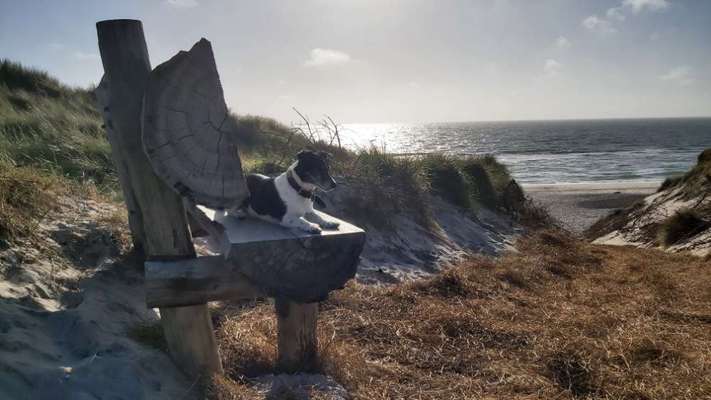 Fotochallenge Nr. 94 It's summer time-Beitrag-Bild